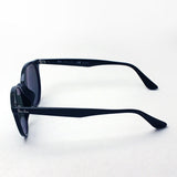 Ray-Ban Polarized Sunglasses Ray-Ban RB4305F 6019A