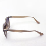 Gafas de sol Ray-Ban Ray-Ban RB4305F 616613