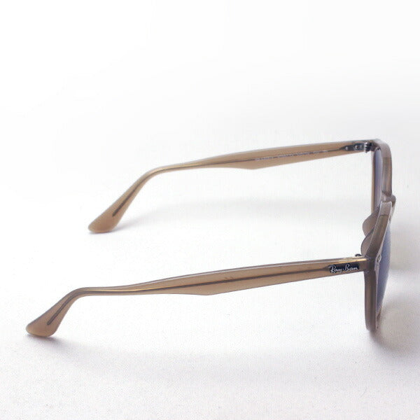 Gafas de sol Ray-Ban Ray-Ban RB4305F 616613