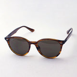 射线棕色太阳镜雷 - 河RB4305F 82073