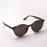 射线棕色太阳镜雷 - 河RB4305F 82073