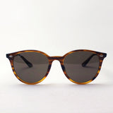射线棕色太阳镜雷 - 河RB4305F 82073
