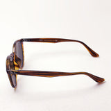 射线棕色太阳镜雷 - 河RB4305F 82073