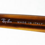 射线棕色太阳镜雷 - 河RB4305F 82073