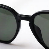 Ray-Ban Polarized Sunglasses Ray-Ban RB4306F 6019A