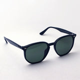 Ray-Ban Polarized Sunglasses Ray-Ban RB4306F 6019A