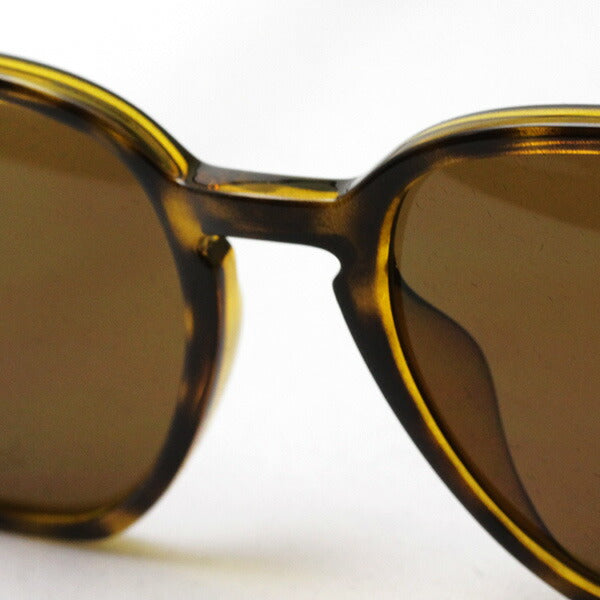 Gafas de sol polarizadas de Ray-Ban Ray-Ban RB4306F 71083