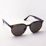 Ray-Ban Sunglasses Ray-Ban RB4306F 82073