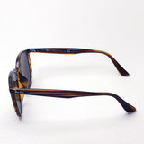 Ray-Ban Sunglasses Ray-Ban RB4306F 82073