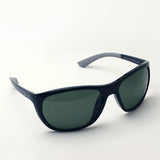 Ray-Ban Polarized Sunglasses Ray-Ban RB4307 6019A