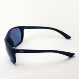 Ray-Ban Sunglasses Ray-Ban RB4307 601S80