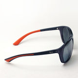 Ray-Ban太阳镜Ray-Ban RB4307 643988
