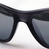 Ray-Ban太阳镜Ray-Ban RB4307 643988