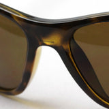 Ray-Ban Polarized Sunglasses Ray-Ban RB4307 71083