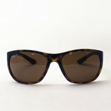 Ray-Ban Polarized Sunglasses Ray-Ban RB4307 71083