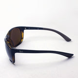 Ray-Ban Polarized Sunglasses Ray-Ban RB4307 71083