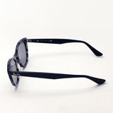 Gafas de sol Ray-Ban Ray-Ban RB4314N 1250Y5 Nina