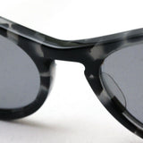 Gafas de sol Ray-Ban Ray-Ban RB4314N 1250Y5 Nina