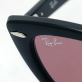 射线棕色的太阳镜Ray-Ban RB4314N 601U0 NINA