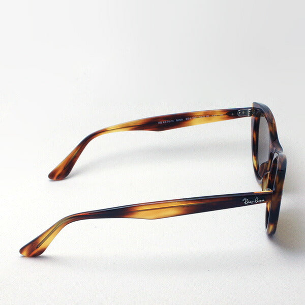 Gafas de sol Ray-Ban Ray-Ban RB4314N 95433 Nina