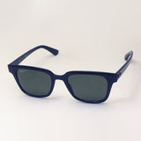 Ray-Ban Polarized Sunglasses Ray-Ban RB4323F 6019A