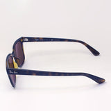 Ray-Ban Polarized Sunglasses Ray-Ban RB4323F 71083