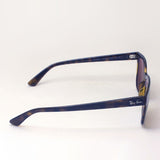 Ray-Ban Polarized Sunglasses Ray-Ban RB4323F 71083