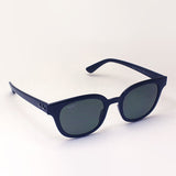 レイバン 偏光サングラス Ray-Ban RB4324F 6019A