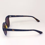 Ray-Ban Polarized Sunglasses Ray-Ban RB4324F 71083