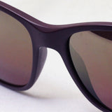 射线阳台偏光太阳镜Ray-Ban RB4330CH 64456B Cromance