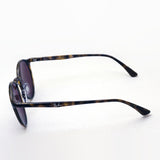 射线阳台偏光太阳镜Ray-Ban RB4336CH 710BC Cromance