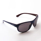 Ray-Ban Sunglasses Ray-Ban RB4351 65697N