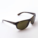 Ray-Ban Sunglasses Ray-Ban RB4351 71073