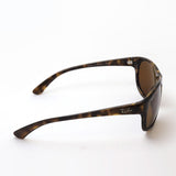 Gafas de sol polarizadas de Ray-Ban Ray-Ban RB4351 71083