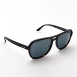 Ray-Ban Sunglasses Ray-Ban RB4356 902R5