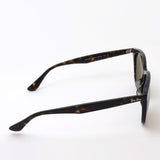 Gafas de sol Ray-Ban Ray-Ban RB4362F 90273