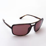 レイバン 偏光サングラス Ray-Ban RB4375 710BC