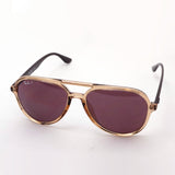 レイバン 偏光サングラス Ray-Ban RB4376F 66025Q