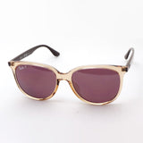 レイバン 偏光サングラス Ray-Ban RB4378F 66025Q