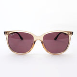 レイバン 偏光サングラス Ray-Ban RB4378F 66025Q