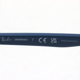 Ray-Ban Polarized Sunglasses Ray-Ban RB4386F 6651K8