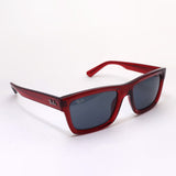 Ray-Ban太阳镜Ray-Ban RB4396F 667987 Warren
