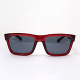 Ray-Ban太阳镜Ray-Ban RB4396F 667987 Warren