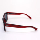 Ray-Ban太阳镜Ray-Ban RB4396F 667987 Warren