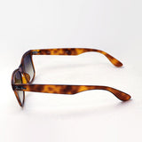 Ray-Ban Sunglasses Ray-Ban RB4640F 647551