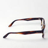 Ray-Ban Glasses RAY-BAN RX5344D 5797