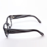 Ray-Ban Glasses RAY-BAN RX5487F 8055
