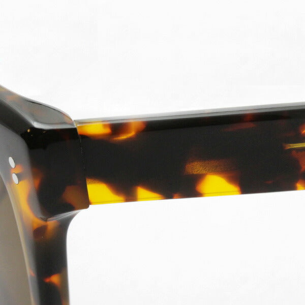 Gafas de sol Sabre Saber SS6-501T-BR-J Rambler Rambler