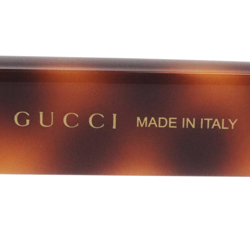 Gucci Sunglasses GUCCI GG1579S 002