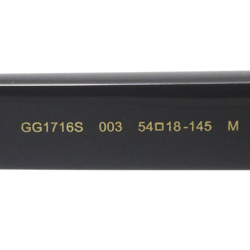Gucci Sunglasses GUCCI GG1716S 003